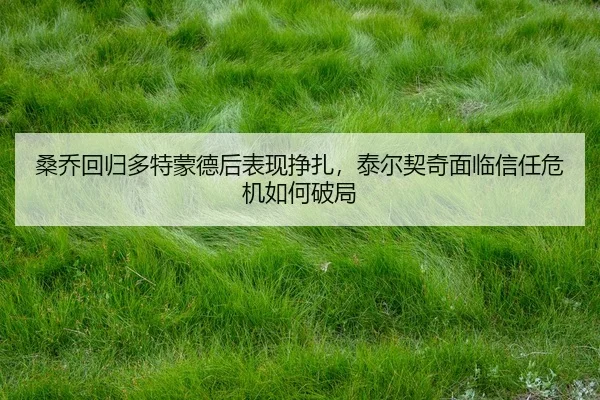 桑乔回归多特蒙德后表现挣扎，泰尔契奇面临信任危机如何破局