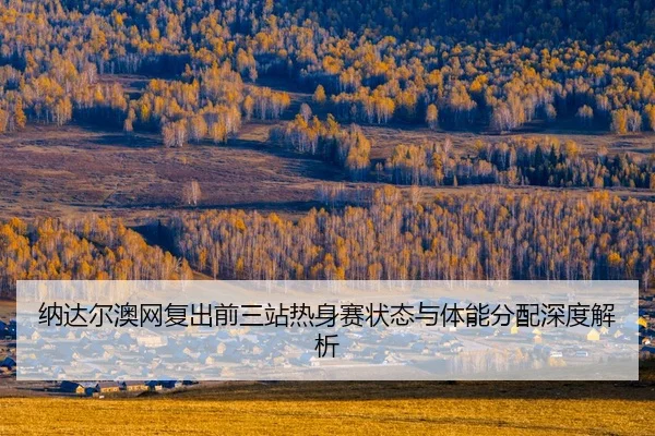 na-da-er-ao-wang-fu-chu-qian-san-zhan-re-shen-sai-zhuang-tai-yu-ti-neng-fen-pei-shen-du-jie-xi-2-743.jpg